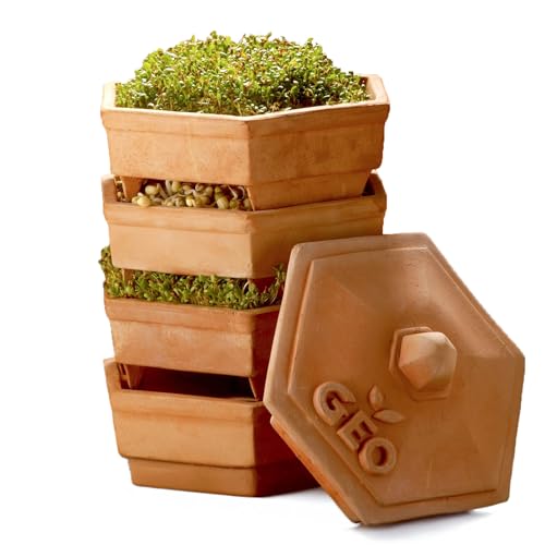 GEO - Germinador En Barro, Muy Espaciosa Para Tener Muchos Brotes Distintos