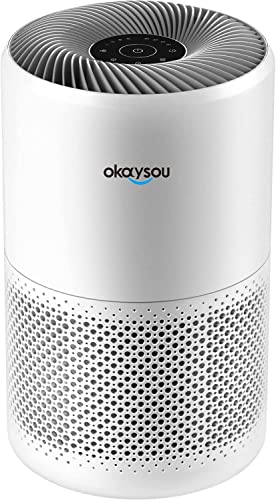 Okaysou Air Purifier for Large Home Rooms