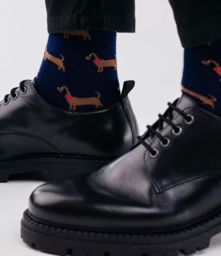 TODO 2Paar Lustige Socken Dackel Motiv, Dackel Socken Herren 42-44