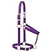 Weaver Leather 35-7435-PU Basic Adjustable Chin and Throat Snap Halter, 1-Inch Average Horse, Purple