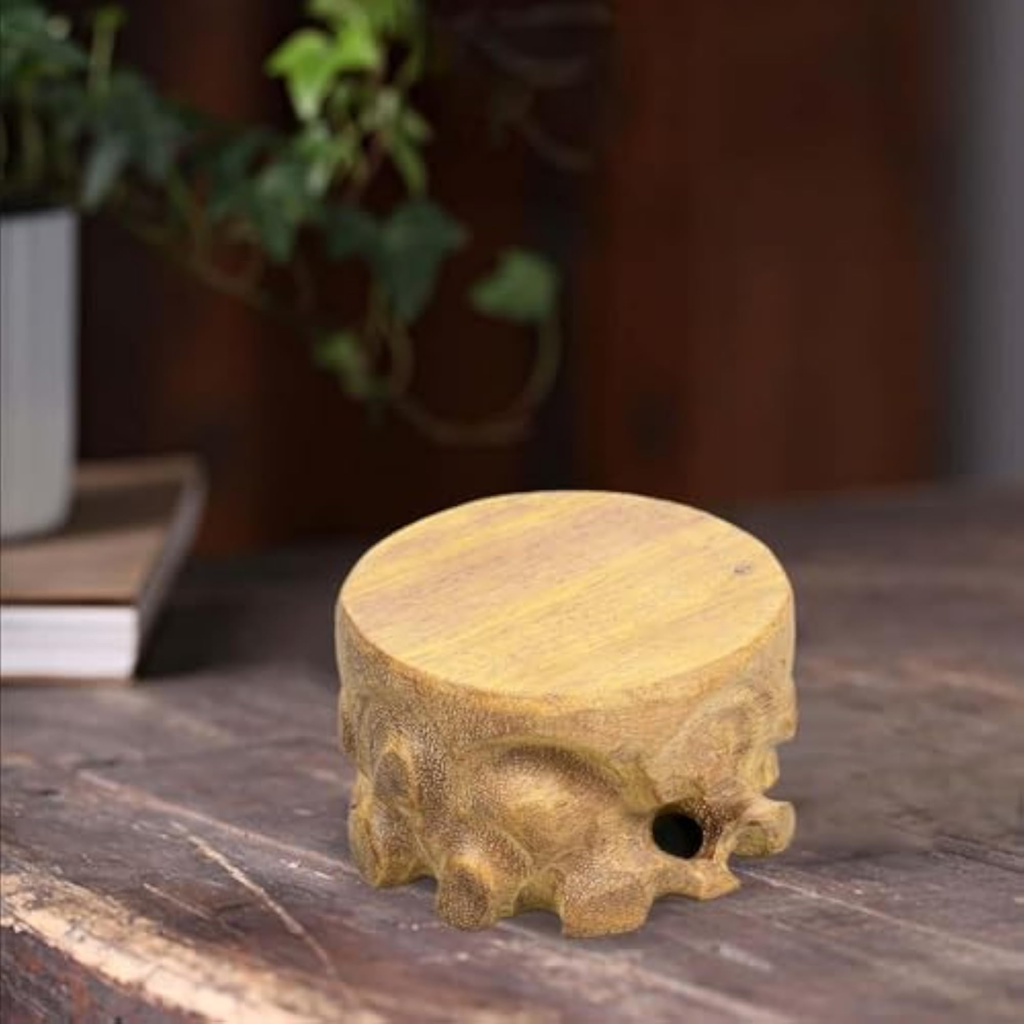 Wooden Stone Display Stand for Bookshelf, Round