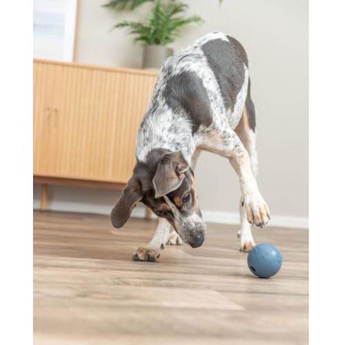 TX-34941 Snack Ball, Natural Rubber 7,5cm