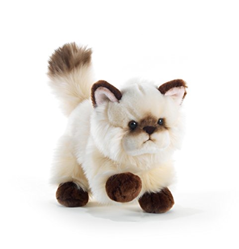 Plush&Company 15705 Thaytoo - Gato de Peluche (21 cm)