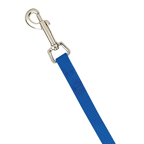 Guardian Gear Cotton Web Training Lead 15 Ft Blue