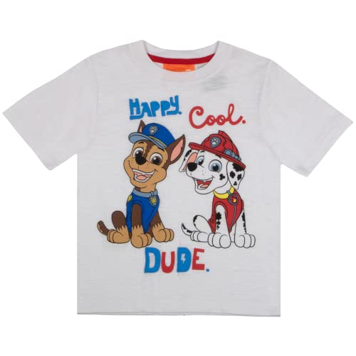 Nickelodeon Paw Patrol Boys 3-Piece Kids Clothing Set - Fashion Zip Up Hoodie, Short Sleeve T-Shirt, & Jogger Sweatpants 3-Pack Bundle Set For Boys And Toddlers (Size 5, Grey/Blue) #TOP4