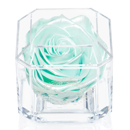 Una Rosa Real Que Dura un año - Solo Oro Blanco (Tiffany Satin) Cover