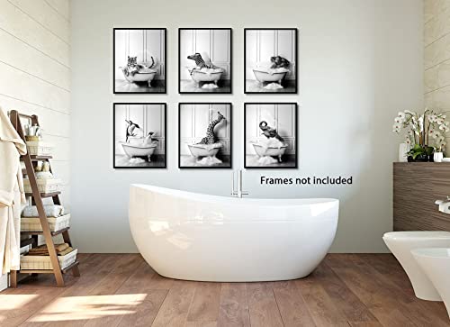 Funny Bathroom Decor Wall Art – Unframed Set Of 6 (8 X 10 Inch) – Bathroom Wall Decor, Black And White Bathroom Decor, Kids Bathroom Decor, Animal Giraffe Penguin Elephant Bathroom Pictures For Wall Decor By Liya Design Prints #TOP4