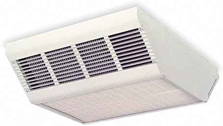 Dayton Downflow Mounted Ceiling Heater, Surface, Heater Voltage 277VAC, Watts 4000/3000/2000