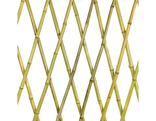 eacommerce Traliccio Grigliato Reticolato in Bamboo Naturale Estensibile per Piante e Fiori rampicanti per Balconi, Terrazze, Giardino (180X240 CM)