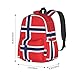 SEOCKA Norway Norwegian Flag Laptop Commuter Backpack Shoulder Bag Casual Back Pack Daypack Bags With Side Pockets For Work Travel Daily Use