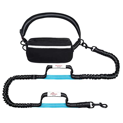 Hands Free Dog Leash with Zipper Pouch for Large Medium and Small Dogs Suitable for Running Walking Jogging and Hiking Adjustable Waist Belt Dual-Handle Reflective Durable Bungee by Innoshopp