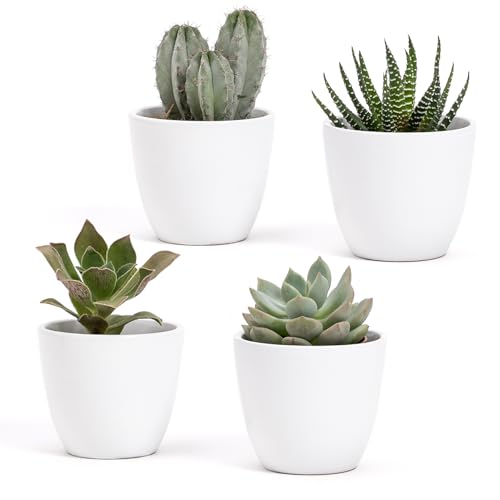 Set mit 4 Blumentöpfen aus weißem glänzendem Terrakotta | Größe 7 x 6 cm | ideal für Sukkulenten, Bonsai, Blumen, dekorative Töpfe für Zuhause, Schreibtisch, Tisch, Büro. (weiß)