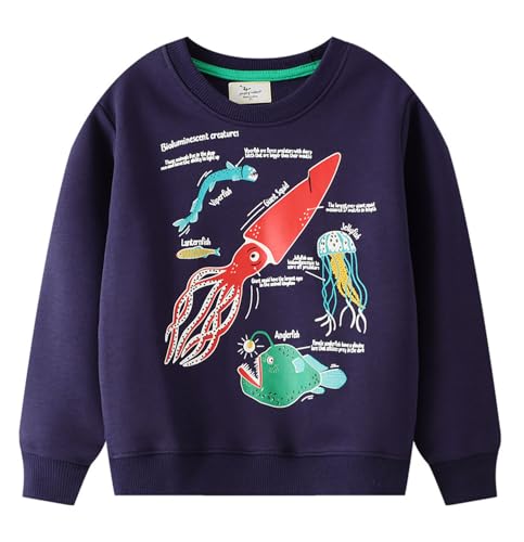 Boys Sweatshirts Casual Sweatshirts Cotton Sweatshirts Long Sleeve T-shirts Crew Neck Cartoon Tops for Boys-701