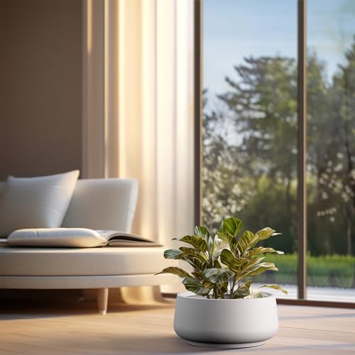 Kante 16.1" Dia Round Curvy Concrete Planter, Large Plant Pots with Drainage Hole and Rubber Plug for Indoor Outdoor Plants, Flower Pot for Home Garden Patio Porch, White by Kante - Image 5