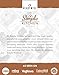 READYWISE - Simple Kitchen, Chocolate Dairy Delight, 57 Servings, Chocolate Milk, Drink Mix, Protein Powder, Healthy, Healthy Drinks, #10 Can