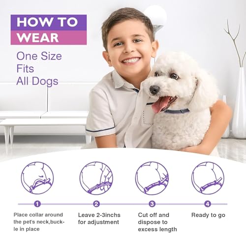 Image of 3 Pack Dog Calming Pheromone Collar Set, Relieves Anxiety, Keeps Dog Quiet, Foldable Collar, Adjustable for Small, Medium Large Dog