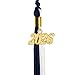 GraduationMall Double Color Graduation Tassel with 2025 Year Charm 9