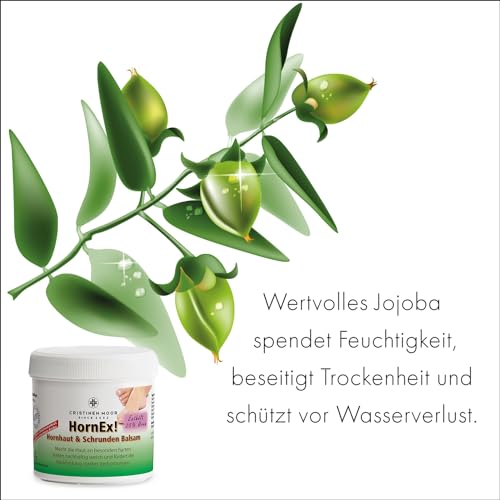 Schrundensalbe CristinenMoor HornEx – Hornhaut- und Schrundenbalsam
