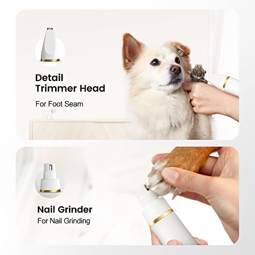 FERRISA-Dog-Clippers-for-Grooming-Small-Dog-Clipper-Dog-Grooming-Kit-with-4-Blade-Heads-Low-Noise-Dog-Grooming-kit-for-Dogs-Hair-Dog-Clippers-of-Eyes-Ears-Face-Rump