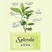 SPLENDA Stevia Zero Calorie Sweetener, Sugar Substitute Packets, 100 Count (Pack of 1)