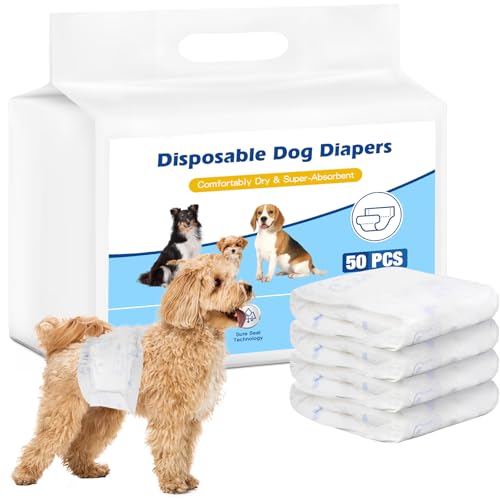 male dog wraps