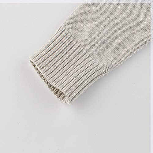 HZYBABY Suéter de dinossauro de manga comprida para bebês meninos de outono com desenho de algodão p