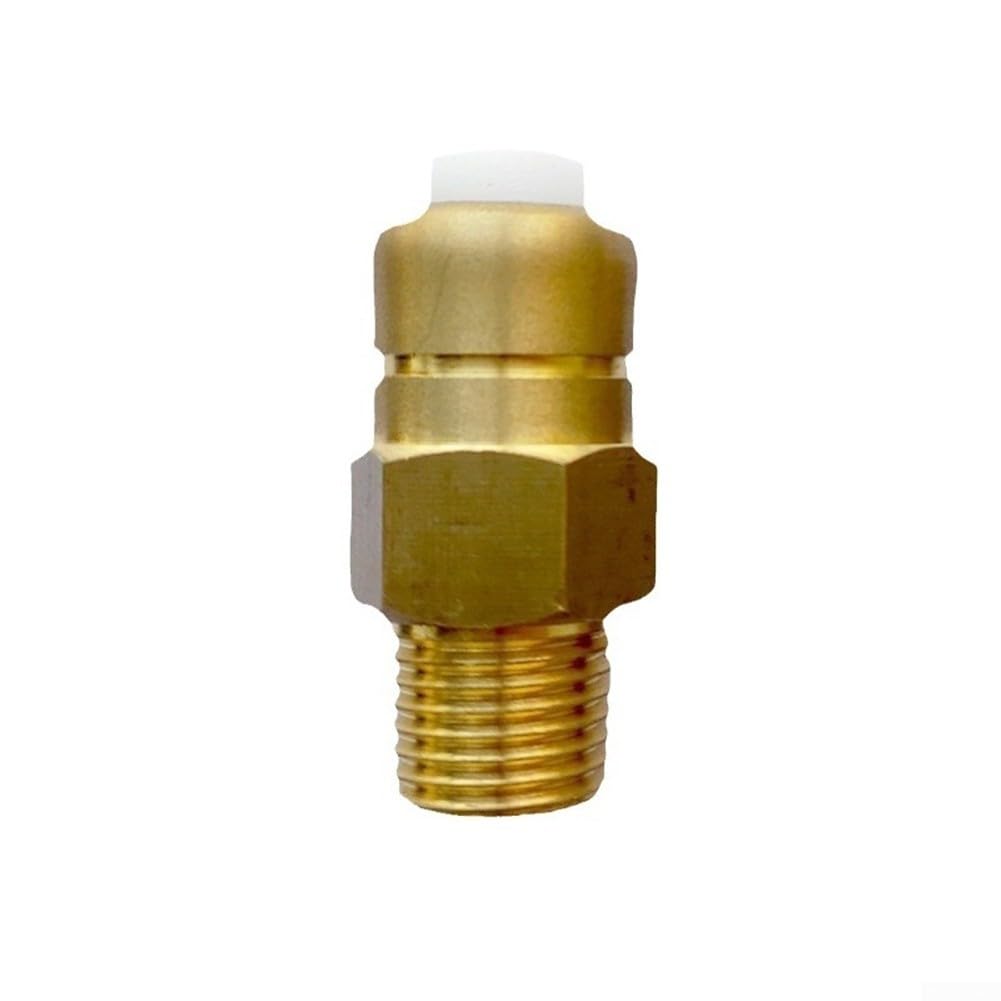 Lot de 2 valves de décharge thermique en laiton pour nettoyeur haute pression - Régulation automatique de la température - Compatible avec Homelite - Pour Karcher 3/8 NPT 1/4 NPT G3/8 - Finition dorée