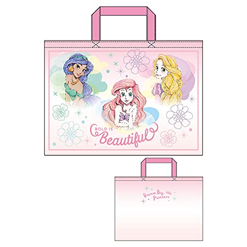 ディズニープリンセス レッスンバッグの人気商品 通販 価格比較 価格 Com