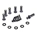 Bike Boltz Harley Road Glide Upgraded Windscreen Bolt Kit - Includes All Hardware for Windscreen Installation Multiple Colors and Quantities Available (6 Sets, Black Stainless Steel)