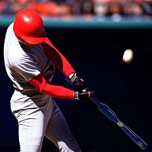 Listy Duosun One Hand Training Bat-Wood Trainer Bat - Softball Training Bat - Speed Trainer Bat For Youth Adults - Wooden Baseball Bat - 29" 30" 31" (31 Inch) #TOP5