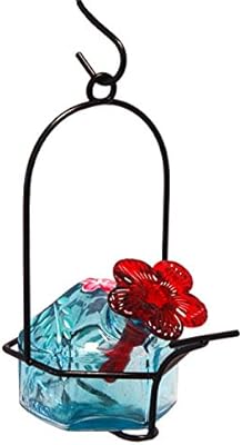Amazon Com Parasol Lp1g1 3 By 6 Inch Lunch Pail 1 Hummingbird