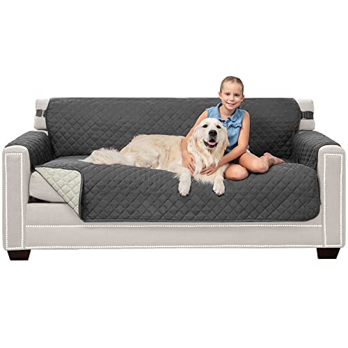 Top 5 Best Dog Furniture Covers and Protectors (That Stay in Place)