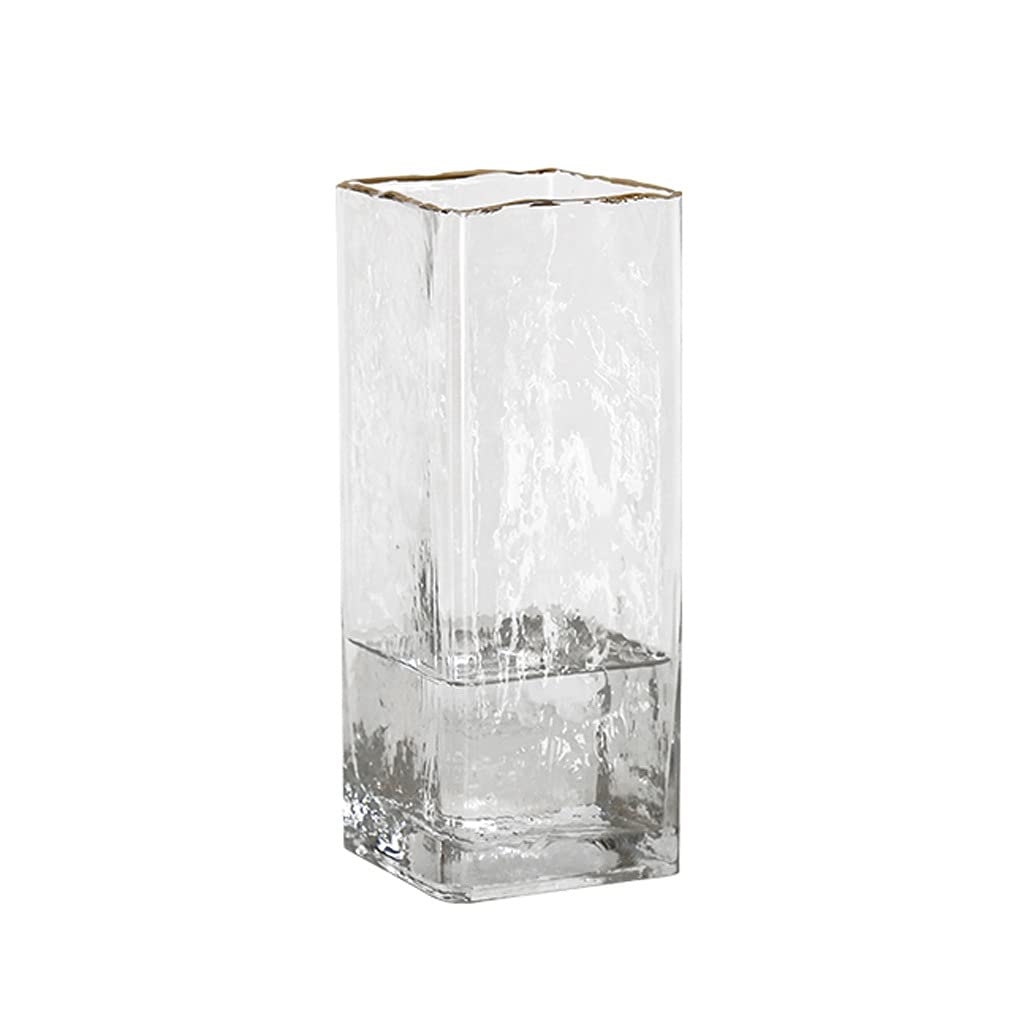 Vase en verre d'ameublement haut de gamme à bouche carrée