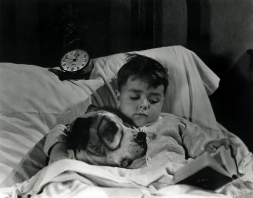 The Little Rascals Spanky and Petey Pete The Pup Our Gang Hollywood Photos 8x10