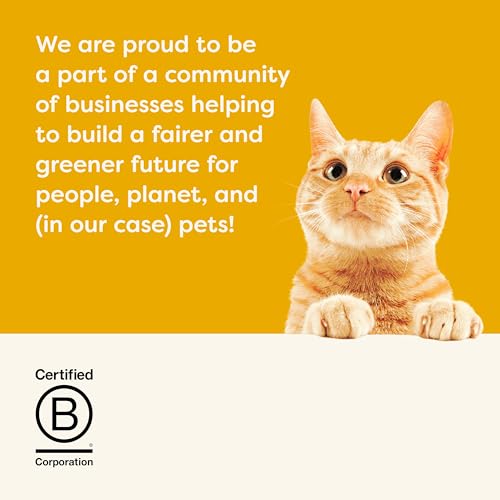 Applaws getreidefreies Katzentrockenfutter mit Huhn für ausgewachsene und reife Katzen, natürlich und vollständig (1x 7,5kg Packung)