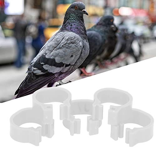 Anel Pé de Pássaro Marca Anel Perna de Aves Anel Pombos 001 100 Numerado 12Mm Kit para Pombos Suprim