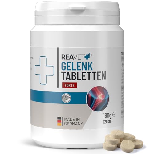 ReaVET Gelenktabletten Hund - Grünlippmuschel Hund - HOCHDOSIERT - Gelenktabletten für Hunde mit Teufelskralle, MSM & Kollagen - Gelenk- & Knochenschutz für Hunde