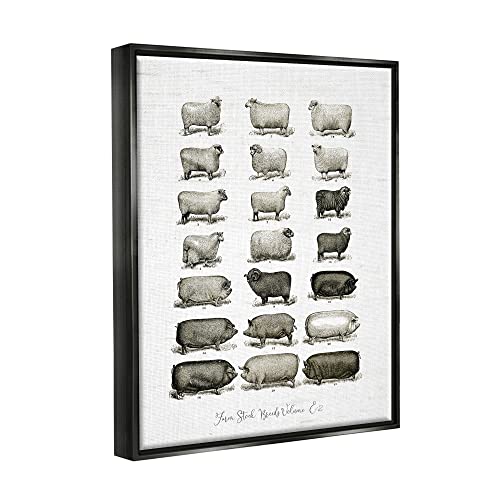 Image of Farm Animal Breeds Diagram Chart, 24 x 30 Inch Canvas in Floater Frame