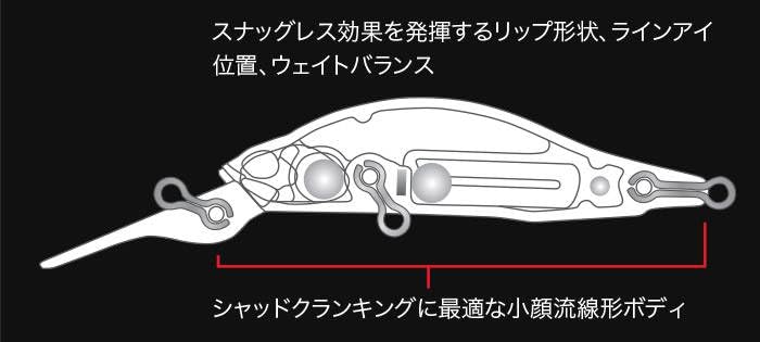 Amazon | DUO(デュオ) レアリス ロザンテシャッド57MR メッキクロキン