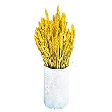 Este ramo de flores secas naturales está compuesto con MÁS DE 200 RAMITAS de Espiga y con una altura aproximada de 55cm y un peso de 120gr. Este ramo de flores llegará protegido en una caja de cartón reciclado para que te lleguen todas las ramitas intactas.