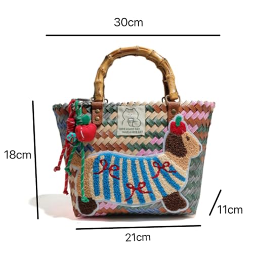 Caistre Woven Beach Bag for Women Men Cute Dachshund PVC Shoulder Bag Summer Plastic Washable Open Tote Handbag 20252