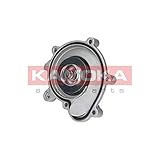  Kamoka Wasserpumpe Pumpe Wasser Kühlwasser Kühlwasserpumpe Kühlung T0194