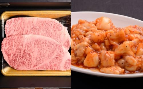 おおいた和牛 サーロインステーキ &ぷりぷり ホルモン (合計約 1kg )