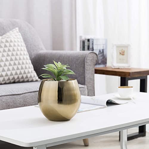 Mygift 6-Inch Brushed Brass Plated Metal Table Vase - Round Bowl-Shaped Succulent Planter Pot - Handcrafted In India #TOP1