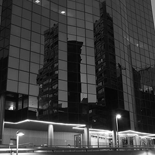 Algoritmos, hackers y virus ideol&oacute;gicos