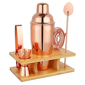 Hossejoy Hochwertiges Cocktailshaker Set, 5 Teilig Cocktailmixer Set, mit Bambus-Aufbewahrung, inkl. Cocktail-Shaker…
