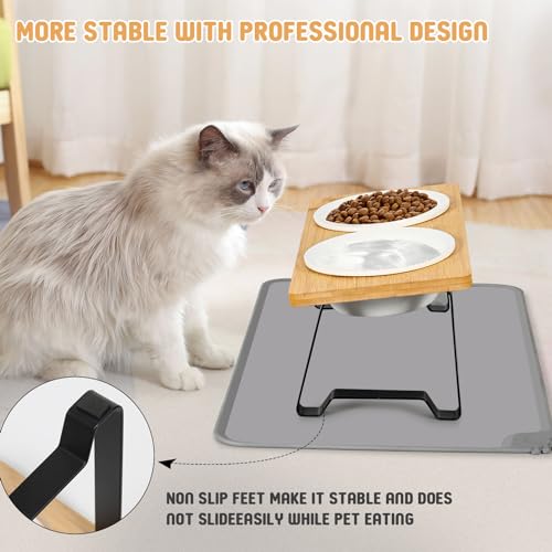 Lannvan Katzennapf Erhöht, 2er Set Futternapf Katze aus Keramik mit Napfunterlage Silikon, Ergonomischer Futterstation 15°gekippte Katzen Hundenapf,Fressnapf und Wassernapf für Katzen und kleine Hunde