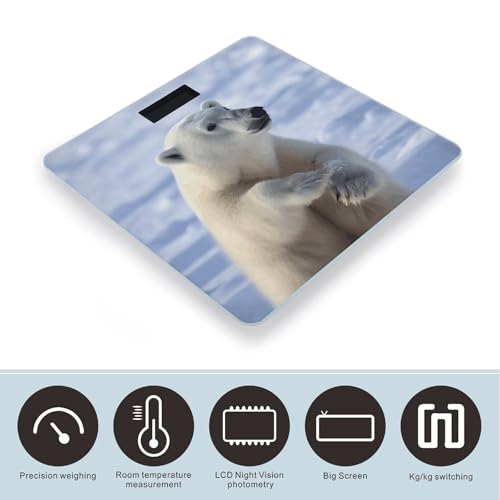 Báscula digital corporal Polar Bear con pantalla LCD grande miniatura 3