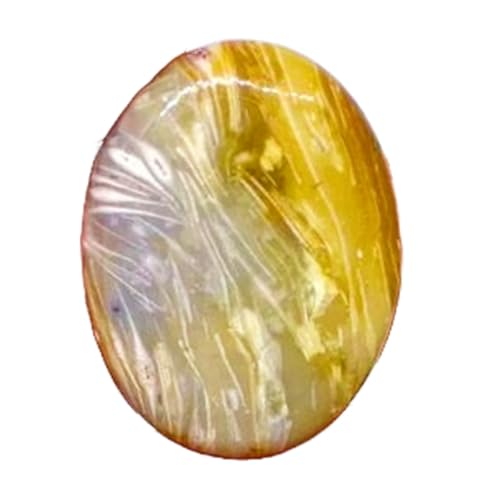 Fossile naturel cabochon ovale 25x18mm pierre précieuse pour collier