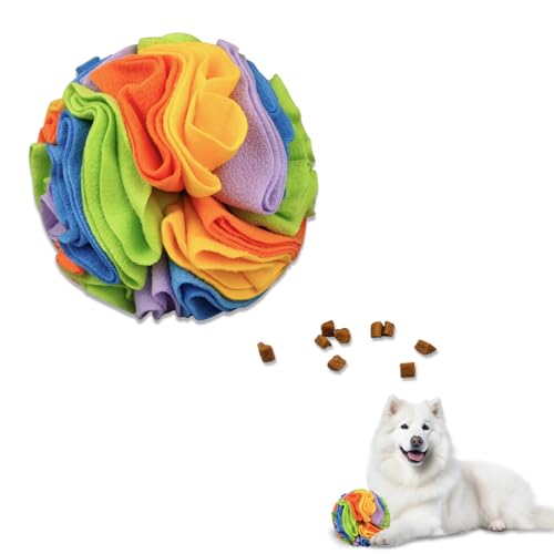 Andiker 5.9C` pXibt {[ ʂ Jt C^NeBu Xibt {[ B   pY  ދa炰 P @ p{[ ^p (C{[AS)